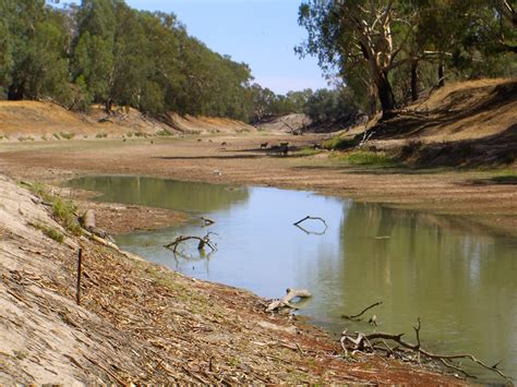 Australia’s Waterkeepers on Drought, Fish Kills, and the Murray-Darling Basin - Waterkeeper