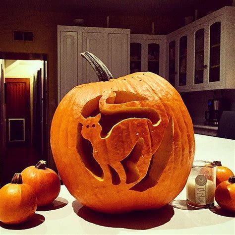 Black Cat Pumpkin Carving Pictures, Photos, and Images for Facebook ...