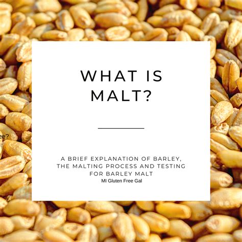 Malt: Process, Product, and Gluten Free Status - MI Gluten Free Gal