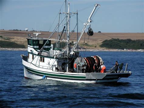 Fishing boat with purse seine | Fishing boats, Boat, Fish