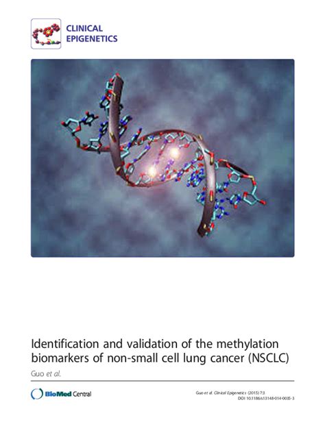 (PDF) Identification and validation of the methylation biomarkers of non-small cell lung cancer ...