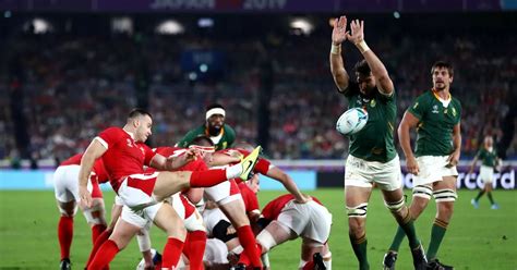 Wales v South Africa score recap from the World Cup semi-final - Irish ...