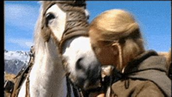 Legolas GIFs - Find & Share on GIPHY