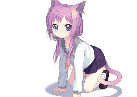 Cat Girls, Anime Girls, Nekomimi, Big Eyes, Look, Anime wallpaper | anime | Wallpaper Better