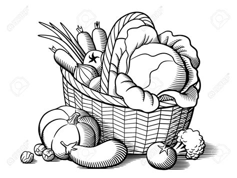 Fruits And Vegetables Drawing Black And White | Free download on ClipArtMag