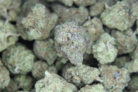 Purple Urkle – Silicon Valley Medicinal