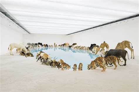 99 life-sized replicas of animals in large installation