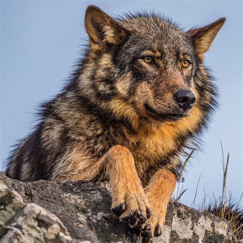 (@natgeotravel) on Instagram: “Photograph by @paulnicklen. A coastal ...