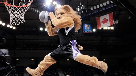 Slamson the Lion - Sacramento Kings' mascot | Nba, Winter olympics, Mascot