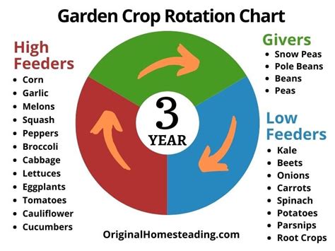 Vegetable Garden Crop Rotation | An Easy Garden Guide