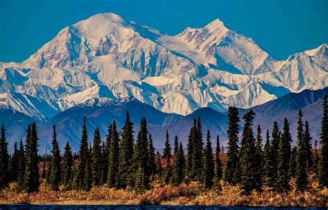 The Best Nursing Schools And Programs In Alaska - NurseBuff