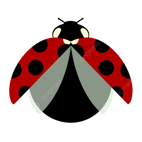 Pest Clipart Transparent PNG Hd, Ladybug Insect Pest Flat Png, Ladybug, Insect, Beneficial ...