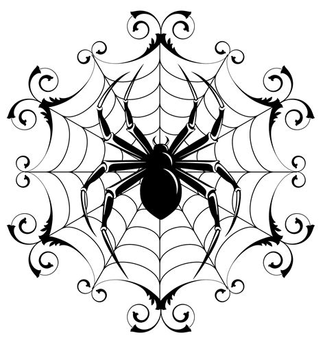 Spider Web Line Drawing | Free download on ClipArtMag