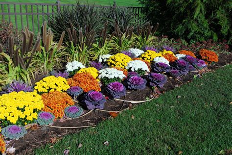 Impressive Ornamental Cabbage Decorations To Beautify Your Outdoors