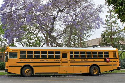 Los Angeles Unified School District to Shut Down Over Coronavirus - TheWrap