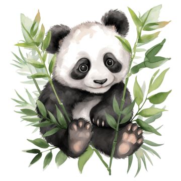 Watercolor Painting Panda Cartoon Png, Painting, Watercolor, Panda PNG Transparent Image and ...