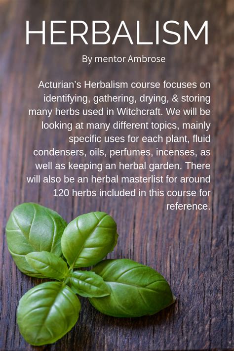 Herbalism | Herbalism, Herbal magic, Class