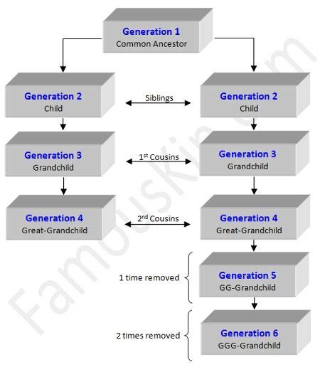 Consanguinity Chart Example | Family history, How to remove, Ancestor