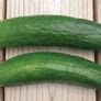 Muncher, Cucumber Seeds | Urban Farmer