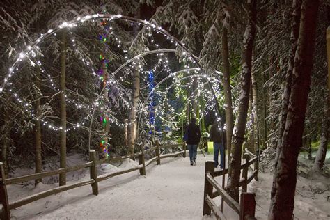 Banish The Winter Darkness At The Holiday Zoo Lights In Alaska