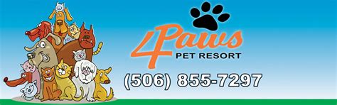 4 Paws Pet Resort - Dog Boarding, Doggie DayCare, Dog Grooming