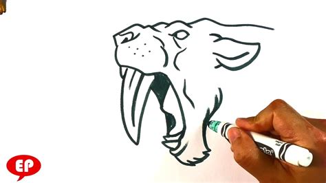 BEST way How to Draw Sabretooth Tiger - Smilodon - YouTube