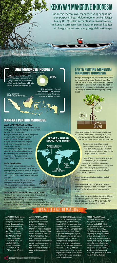 Infographic Examples, Infographic Poster, Infographics, Mangrove Forest, Oceans Of The World ...