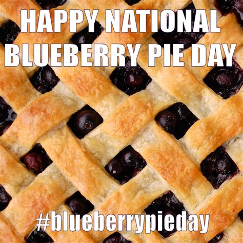 April 28 National Blueberry Pie Day #BlueberryPieDay – The Mommies Reviews