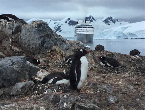 Antarctica, v.3.0., on the Venture - Seabourn Cruise Line - Cruise ...