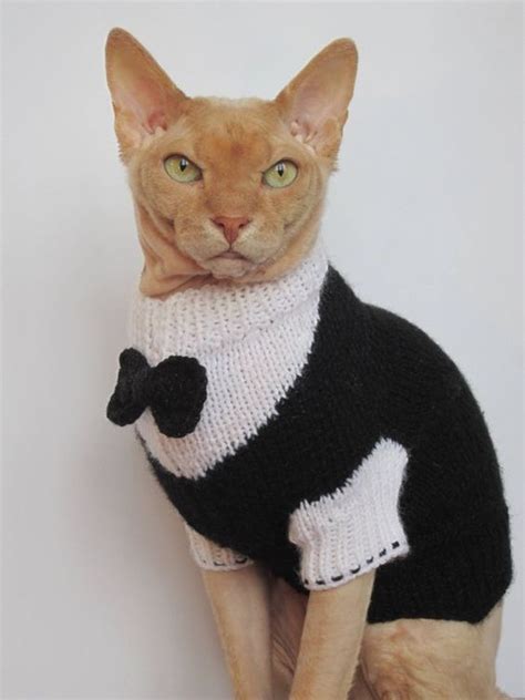 World Wide Knit In Public Day: 7 Cat-Themed Knitting Necessities - CatTime | Cat sweaters, Cat ...