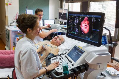 Dobutamine echocardiography or stress echography - Stock Image - C047 ...