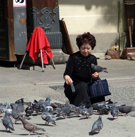 Feeding the Pigeons | Lady taking time out to feed the pigeo… | Flickr