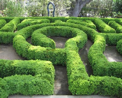 Ideas for Garden Mazes | HGTV