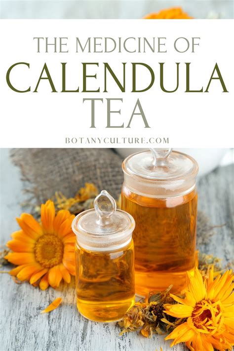 Calendula tea – Artofit