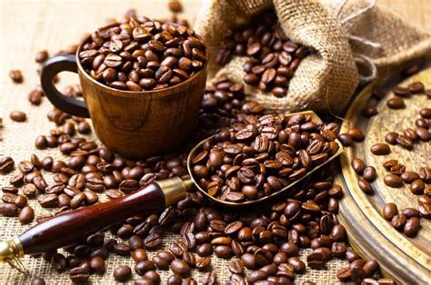 Top 13 Best Organic Decaf Coffee Brands in 2022 — Loyal Organic