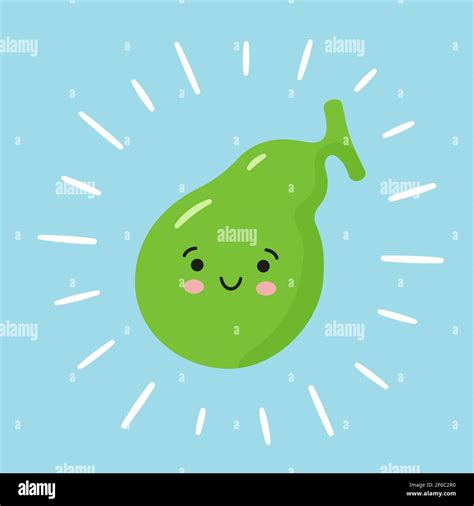 Happy healthy gallbladder and sick sad gallbladder with stones. Characters to illustrate the ...