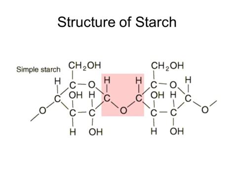 Polysaccharides: Types, Structure, Functions with Videos and Examples