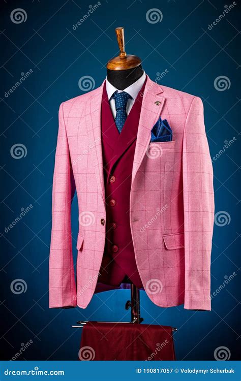 Male Luxurious Classic Suit Checkered Pink Jacket on Dummy or Mannequin ...