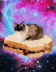 Sandwich GIF - Find & Share on GIPHY