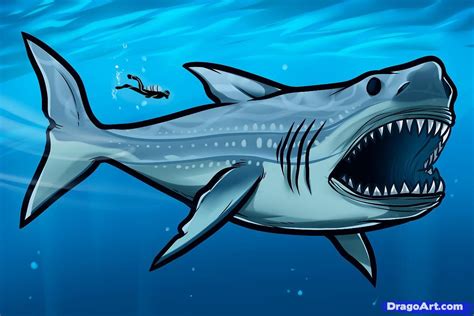 How to Draw Megalodon, Megalodon Shark, Step by Step, Dinosaurs ...