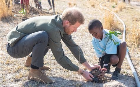 Prince Harry visits Botswana during Africa tour, in pictures - News