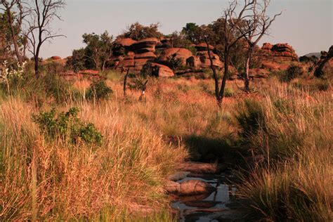 Hiking in Gauteng