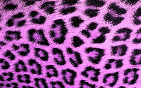 720P free download | Purple Leopard, Cute, Purple, Leopard Print, Girly, HD wallpaper | Peakpx