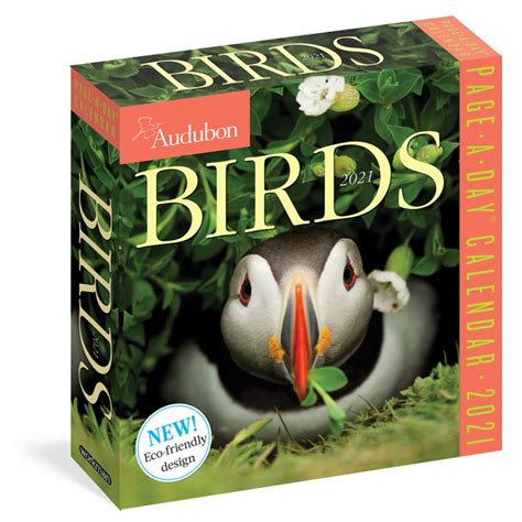 Audubon Birds Page-A-Day Calendar 2021 - Walmart.com - Walmart.com