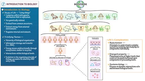 AP Biology: Unifying Themes & Biological Organization | ditki medical & biological sciences