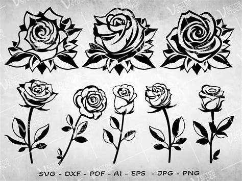 Roses Svg Flower Svg Rose Silhouette Svg Rose Bundle - vrogue.co