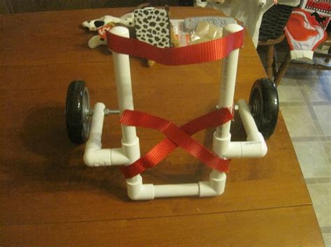 Pin by Kathy Doucette on Pet Craft | Diy dog wheelchair, Dog wheelchair, Diy dog stuff