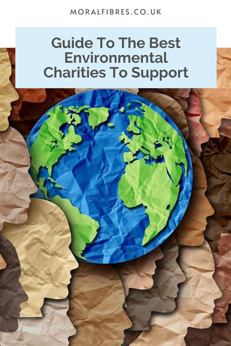 15+ Environmental Charities In The UK To Support In 2023 | LaptrinhX / News