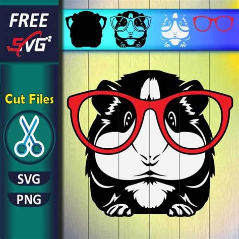 guinea pig with glasses svg free - Free SVG Files