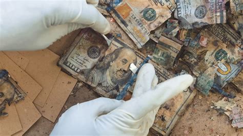 Get reimbursed for mutilated currency by the U.S. Treasury! - JobbieCrew.com